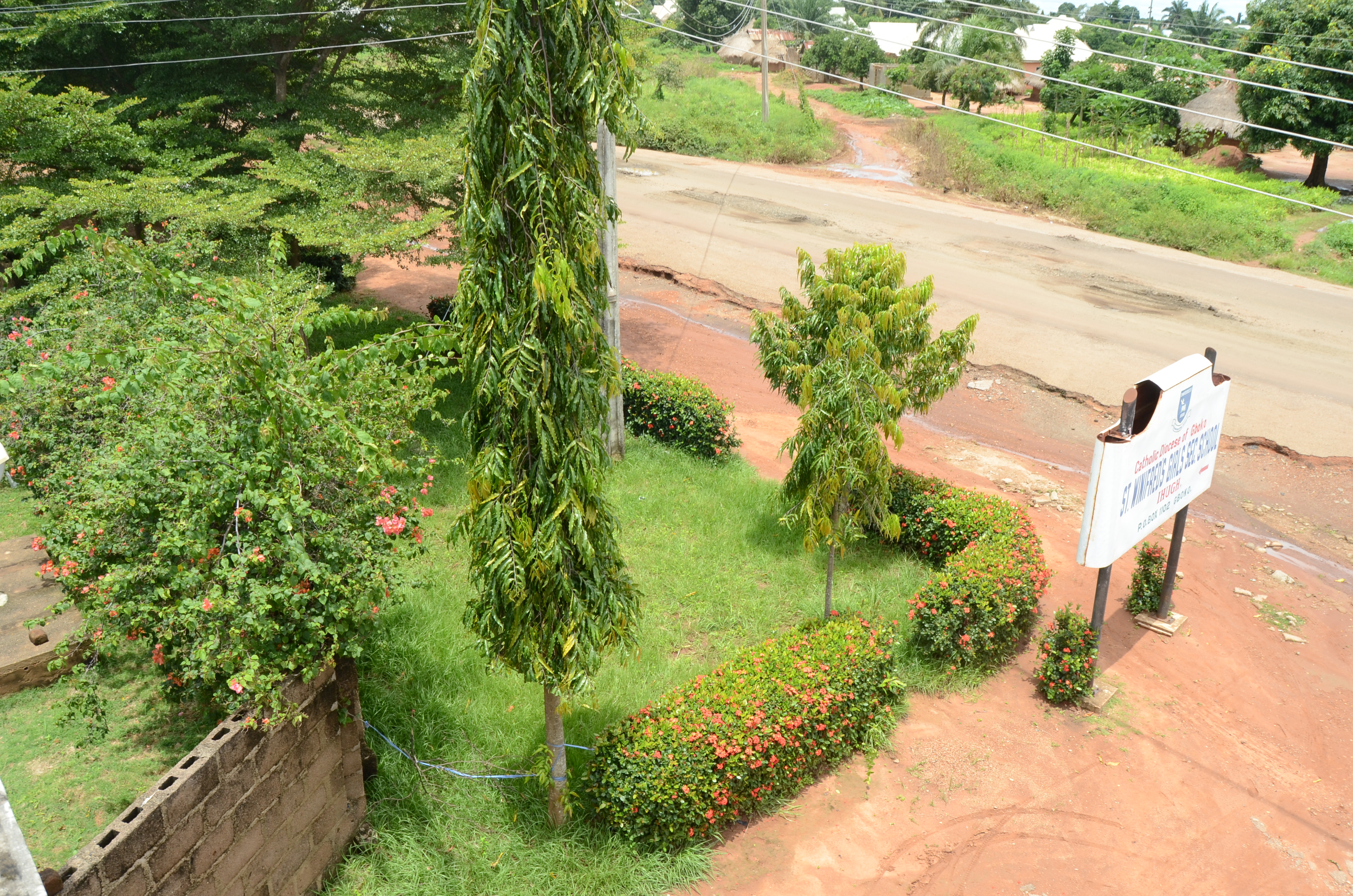 St. Winifred's Environment